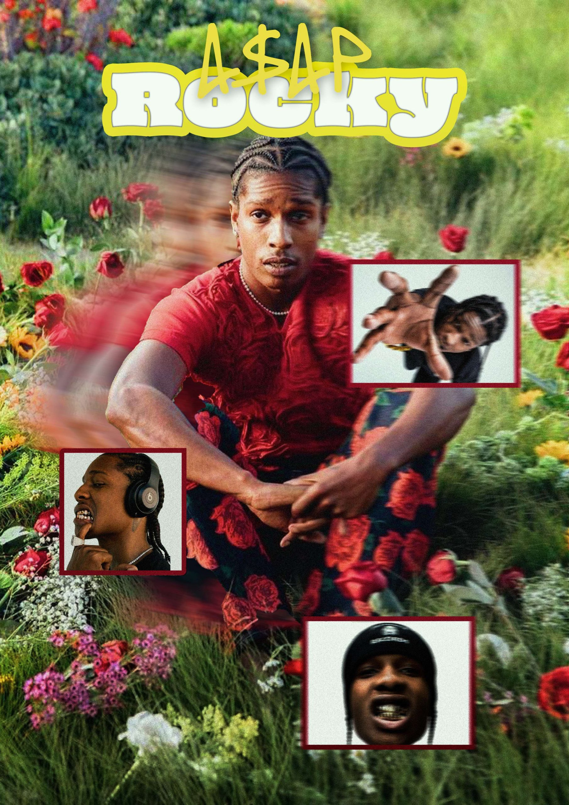 Image de Affiche rocky-compressed (1)
